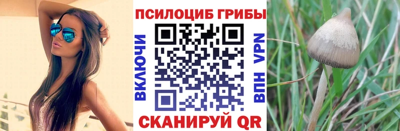 Псилоцибиновые грибы прущие грибы  где купить   Миасс 